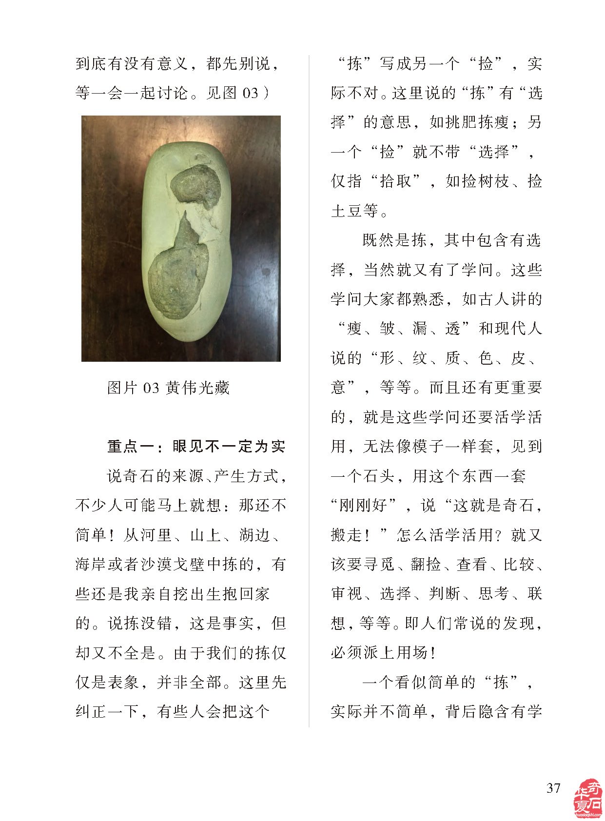 看《于公赏石》品美石学知识了解石情