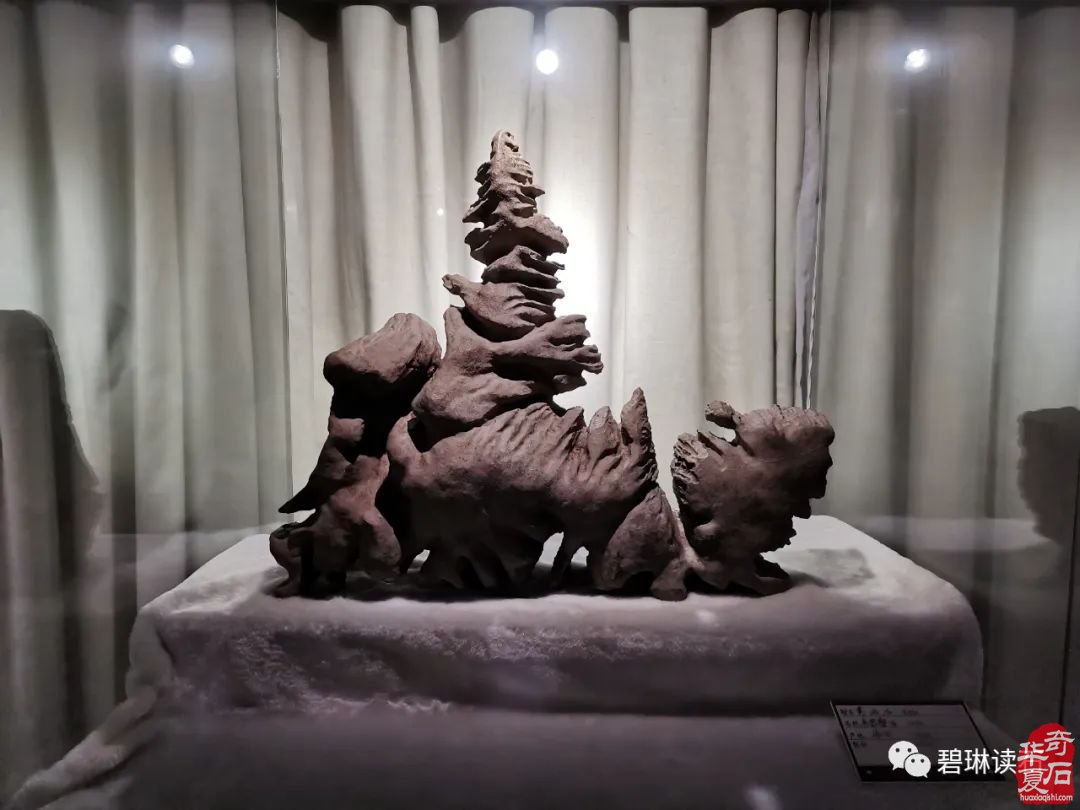 避暑圣地领略乌蒙磬石的“士人气质”——乌蒙磬石精品专题展侧记