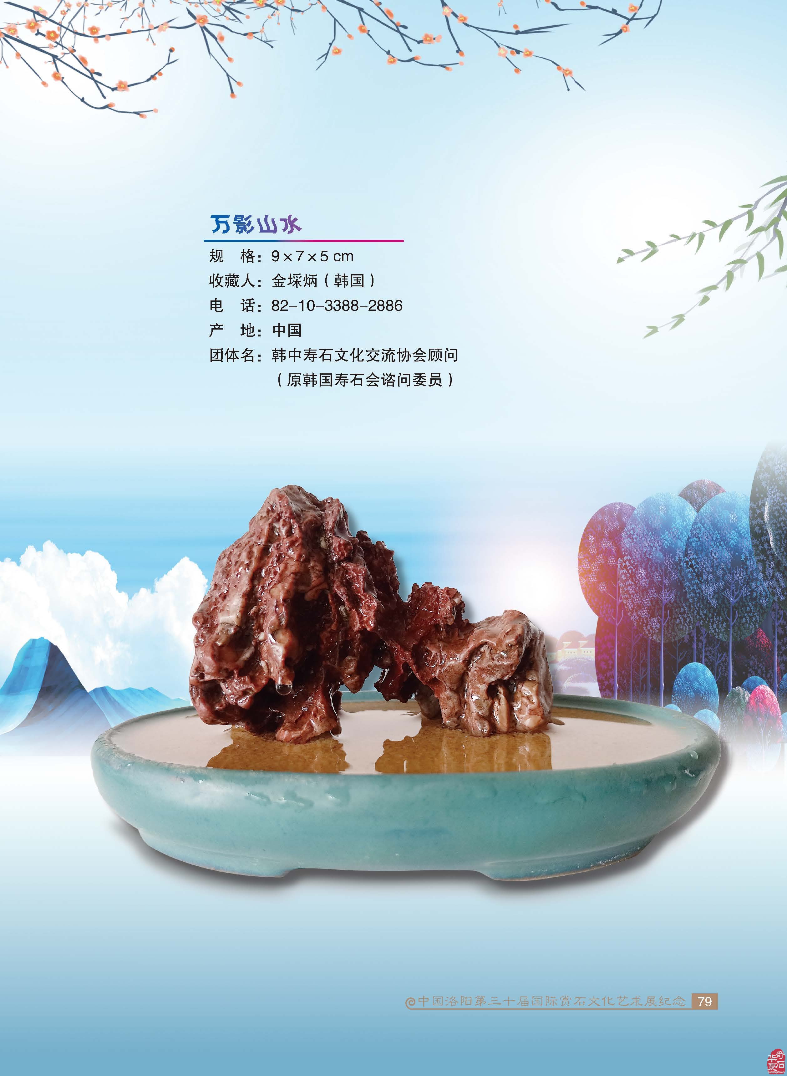 寿石(奇石)给我们的启迪 图