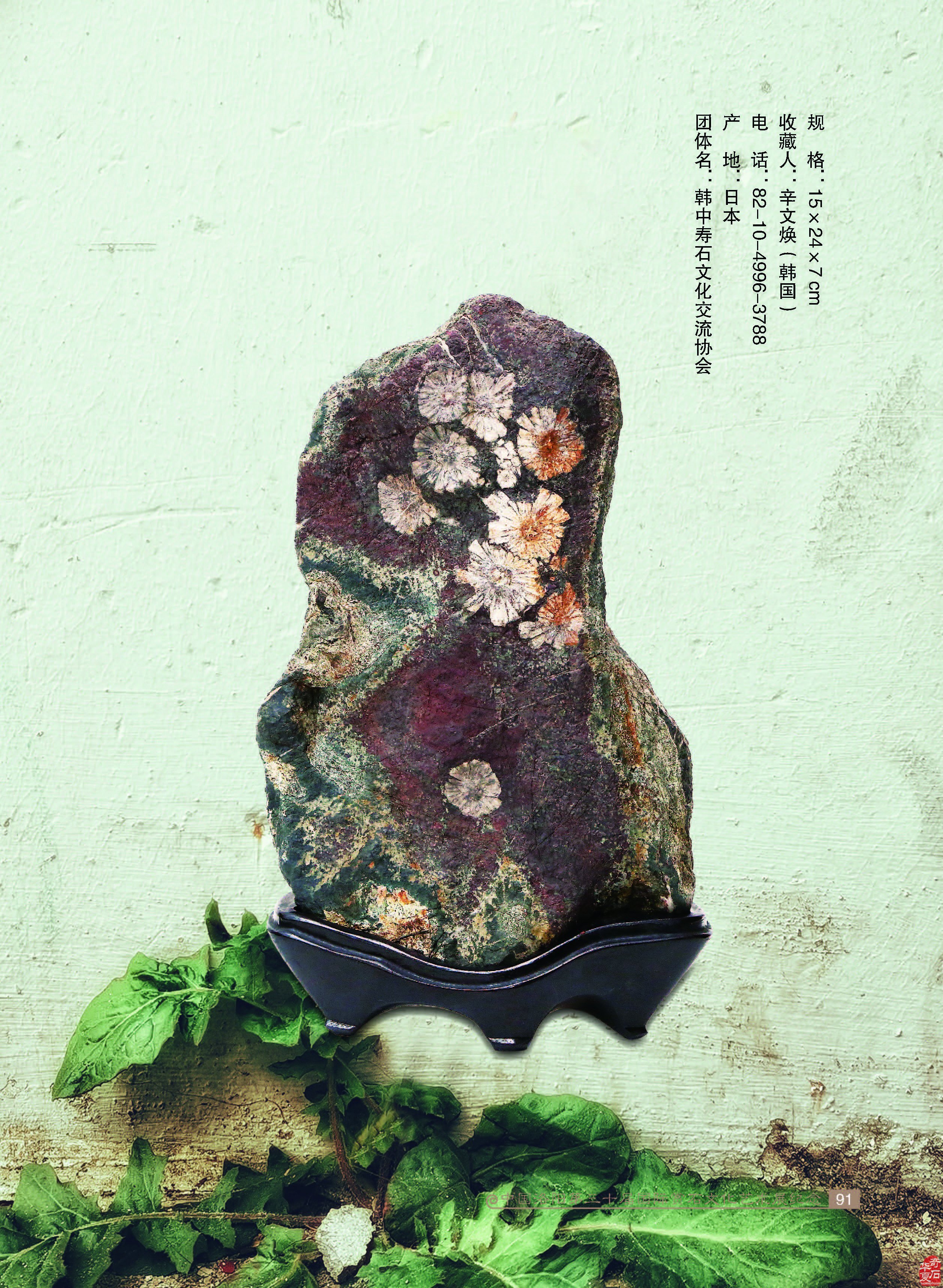 寿石(奇石)给我们的启迪 图