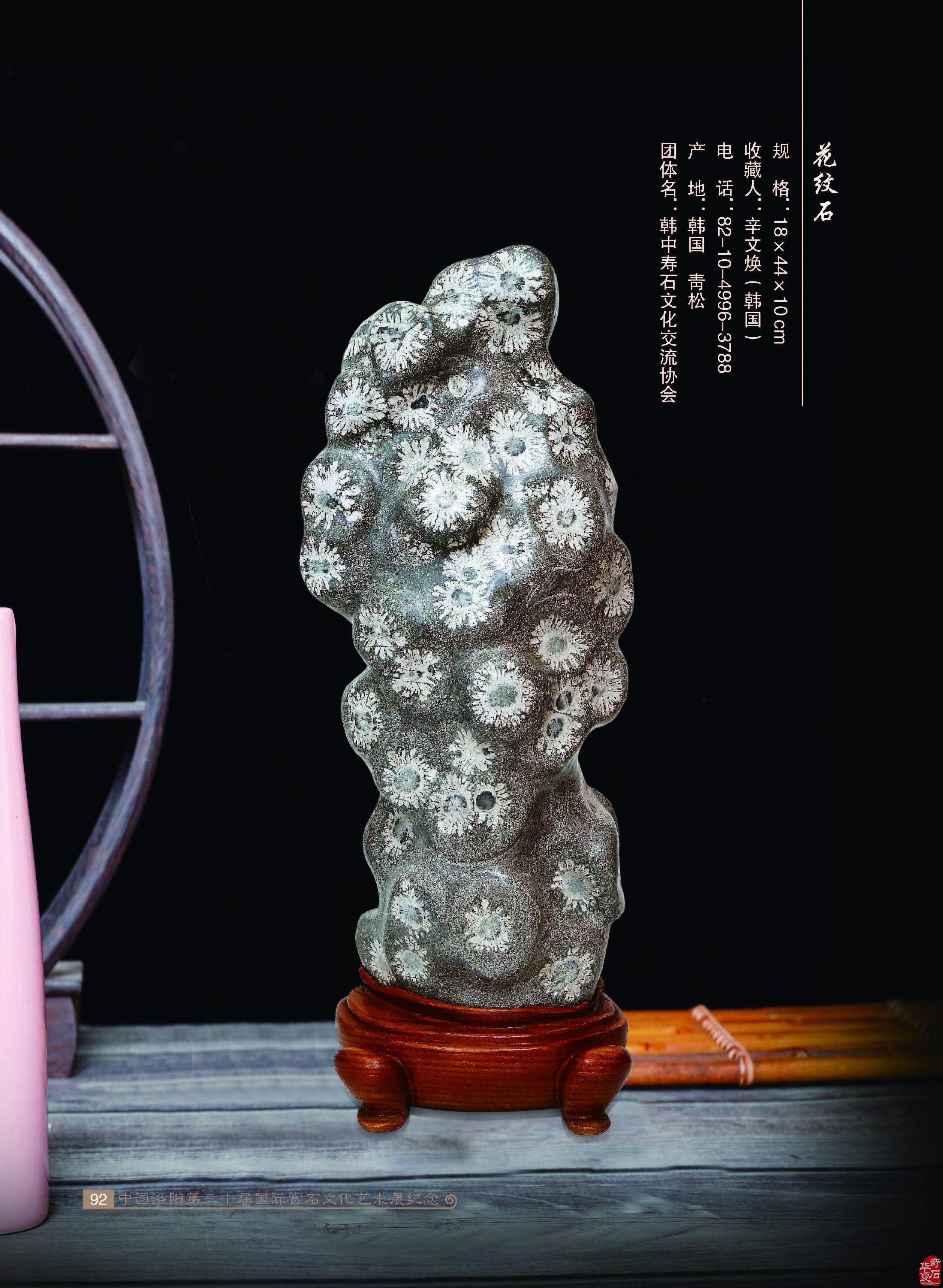寿石(奇石)给我们的启迪 图