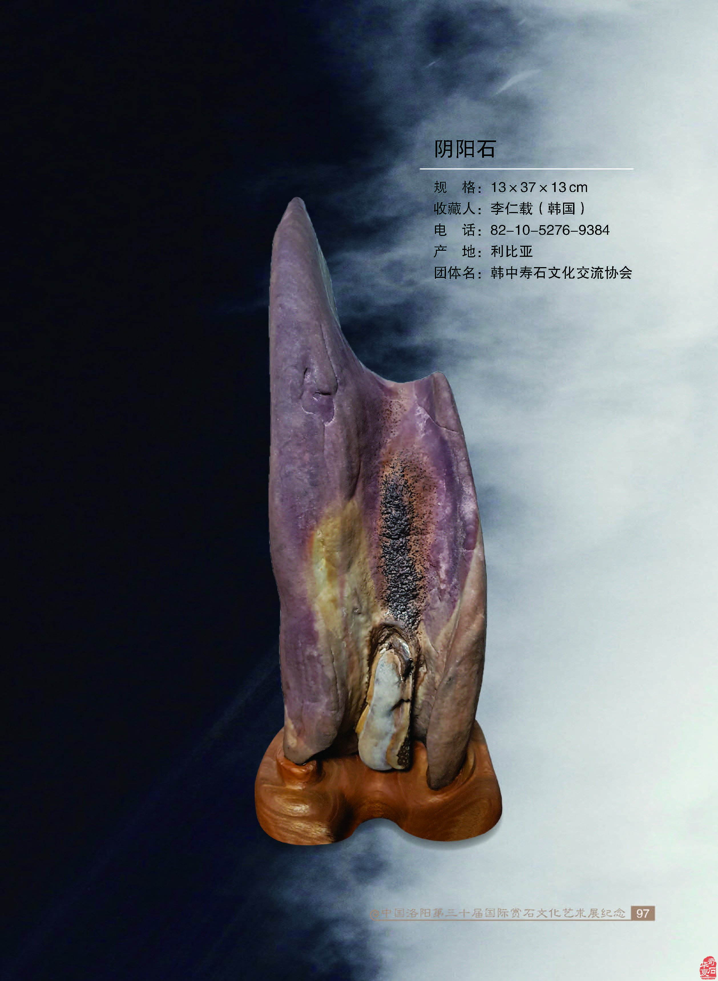 寿石(奇石)给我们的启迪 图