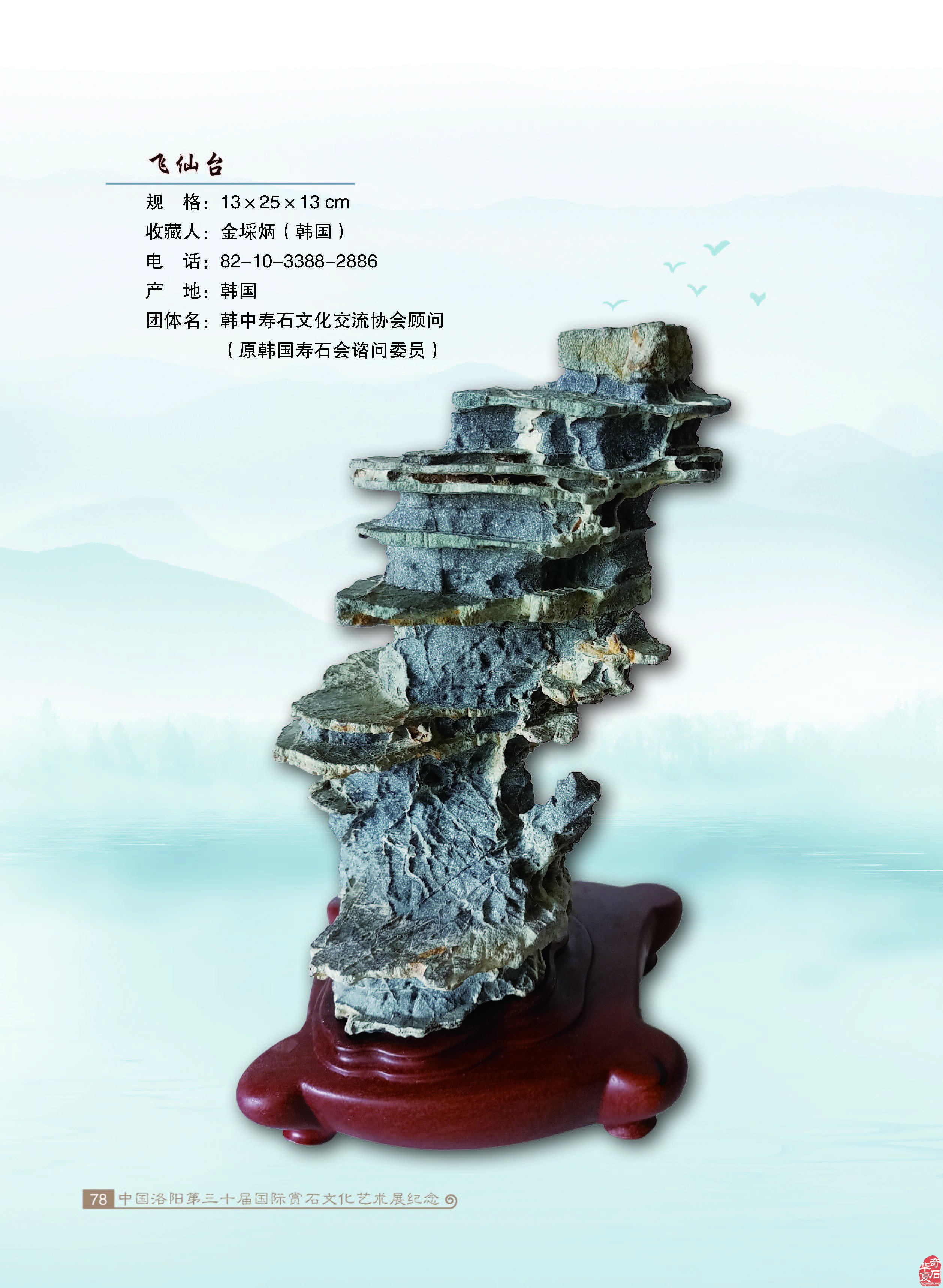 寿石(奇石)给我们的启迪 图