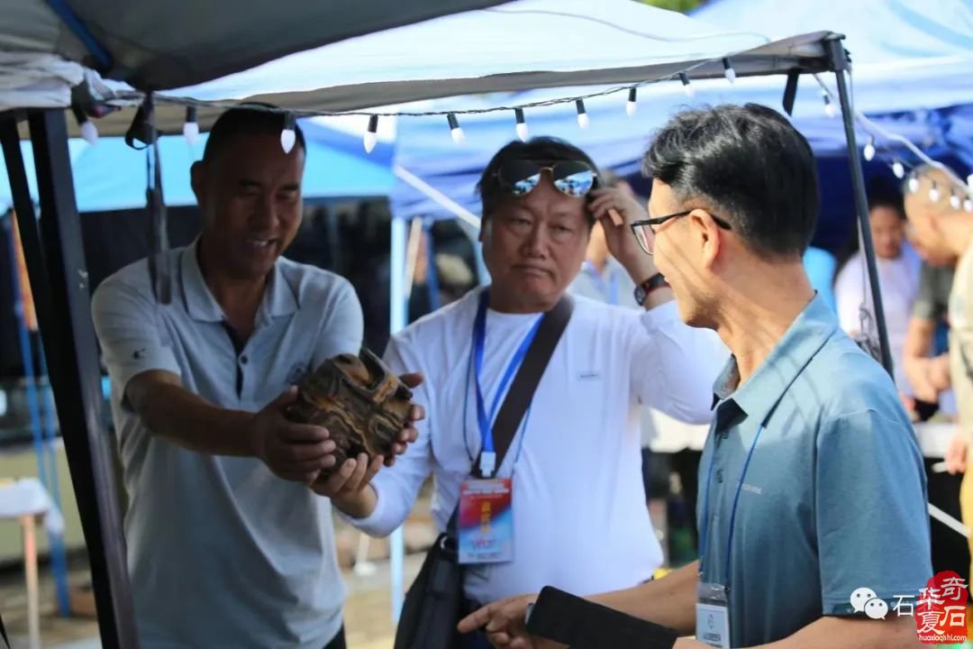 圆满落幕!点赞中韩第七届赏石•寿石文化交流展暨青岛第十七届赏石博览会“青岛杯”