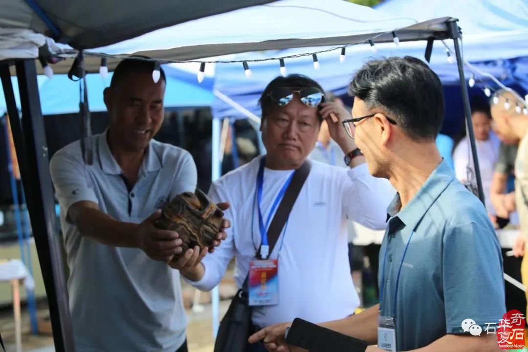 圆满落幕！点赞中韩第七届赏石•寿石文化交流展暨青岛第十七届赏石博览会“青岛杯”