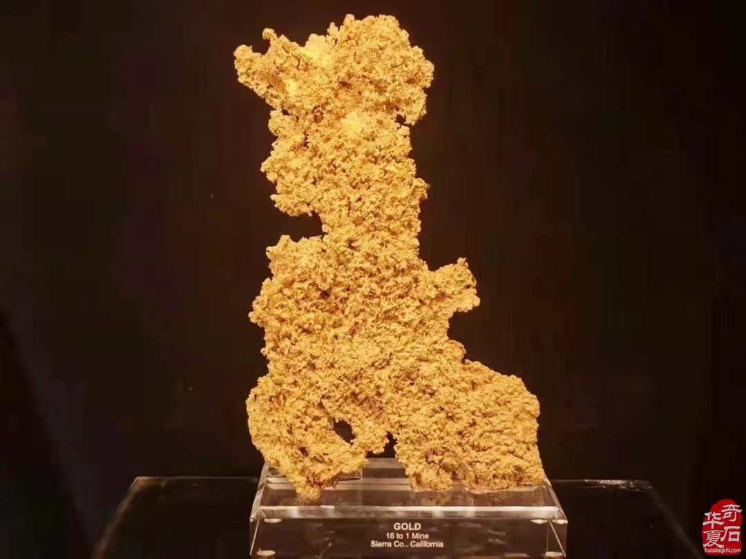 圆满落幕!点赞中韩第七届赏石•寿石文化交流展暨青岛第十七届赏石博览会“青岛杯”