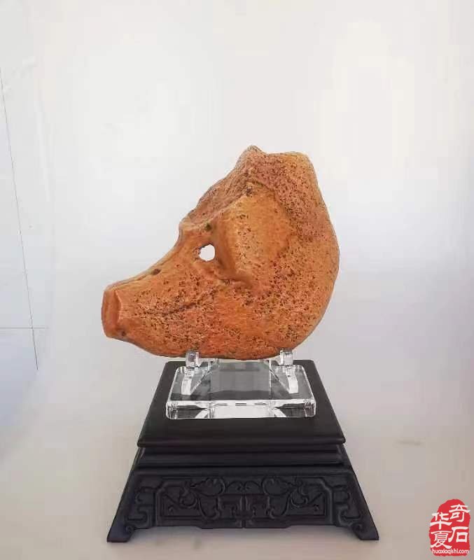 圆满落幕!点赞中韩第七届赏石•寿石文化交流展暨青岛第十七届赏石博览会“青岛杯”