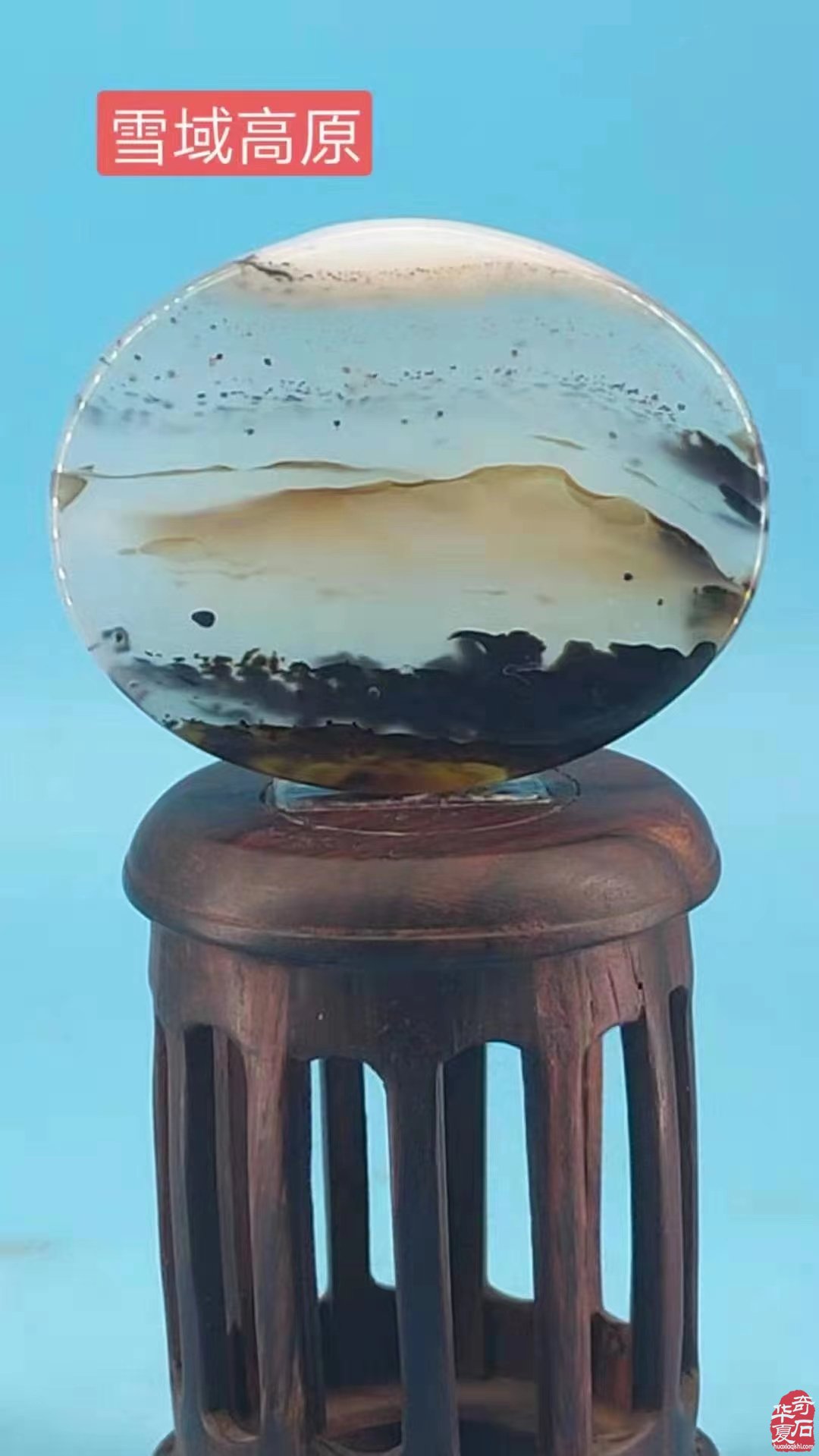 圆满落幕!点赞中韩第七届赏石•寿石文化交流展暨青岛第十七届赏石博览会“青岛杯”