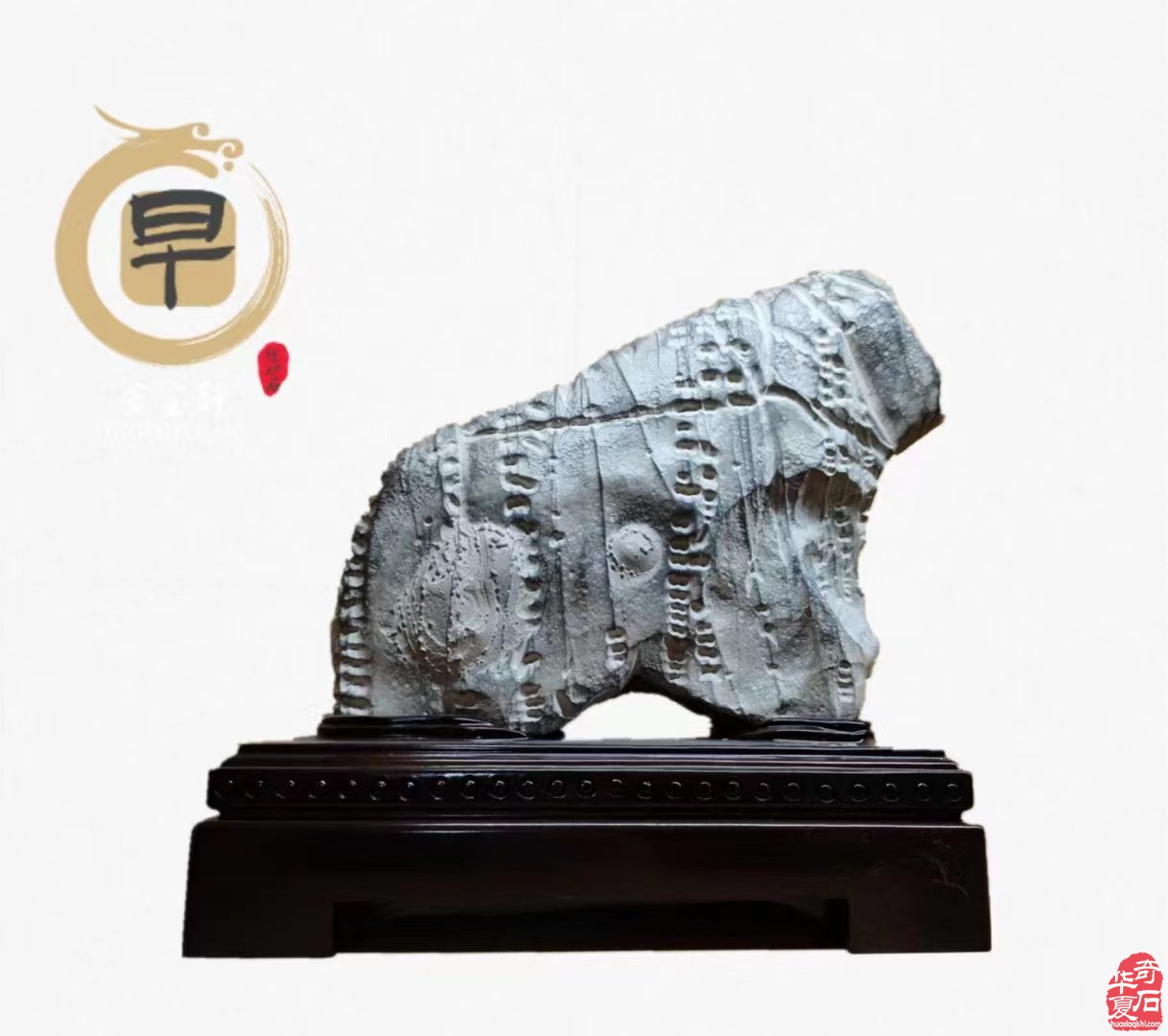 圆满落幕!点赞中韩第七届赏石•寿石文化交流展暨青岛第十七届赏石博览会“青岛杯”