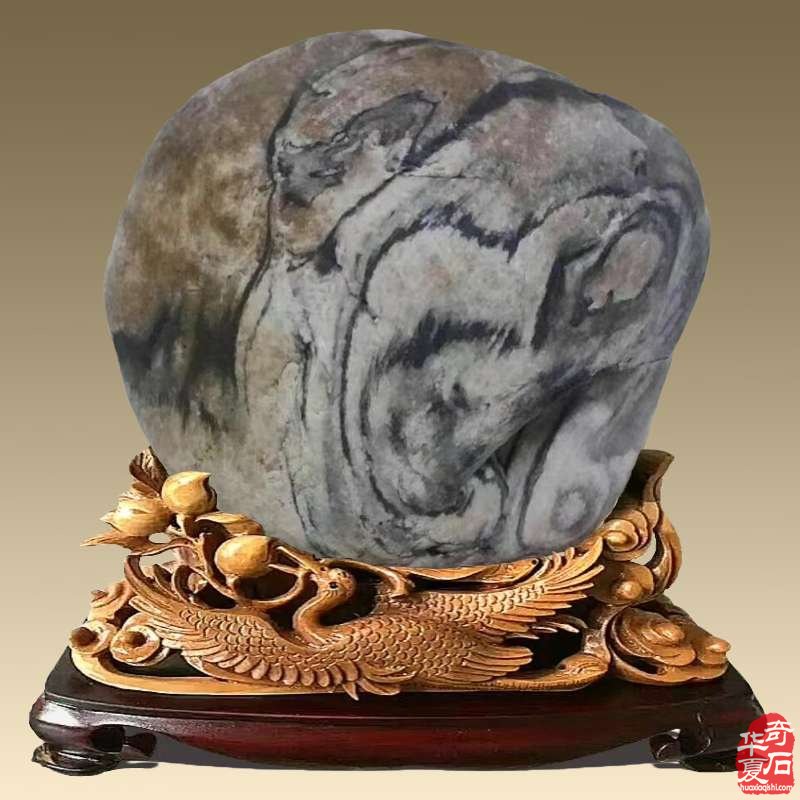 欣赏动物类画面石丨我为动物谱华章(4)