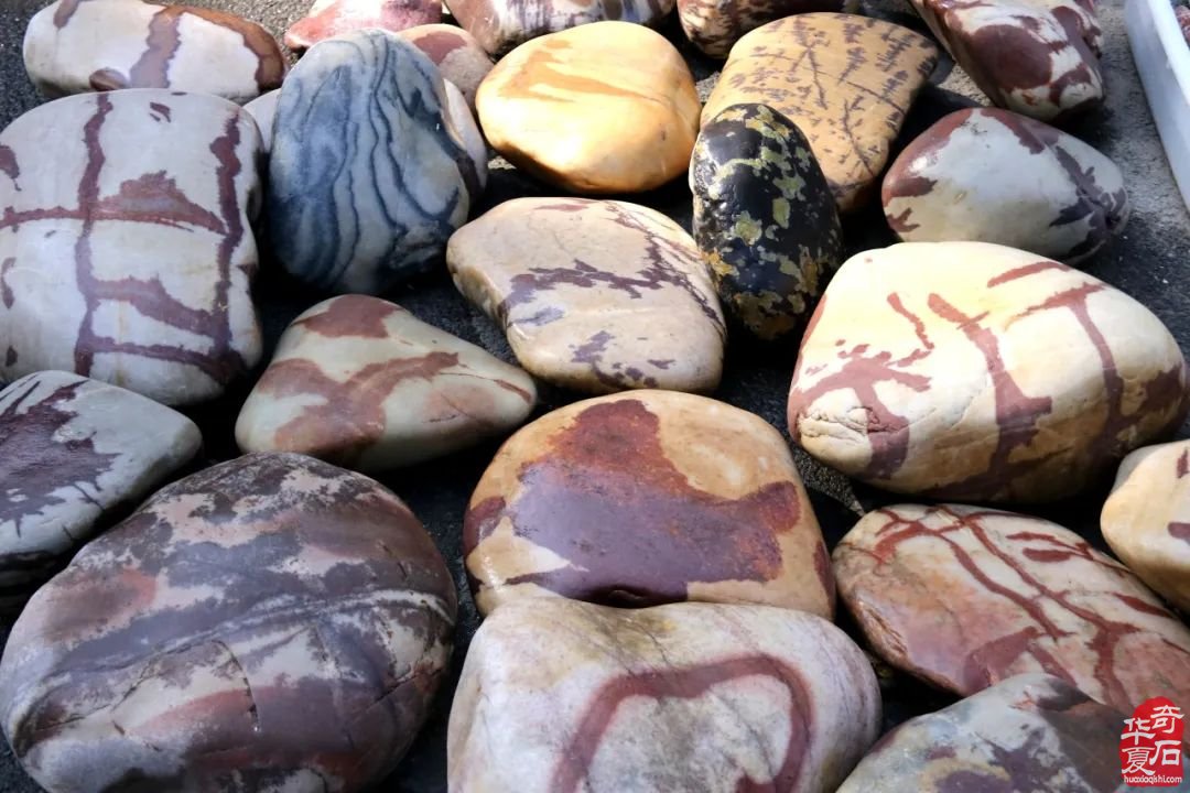 临洮第四届赏石文化节:展现独一无二的奇石世界