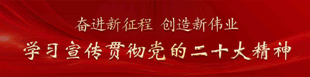临洮第四届赏石文化节：展现独一无二的奇石世界