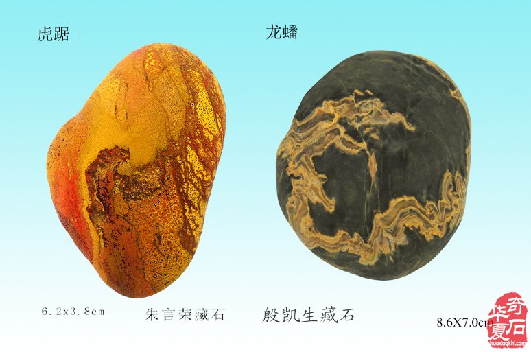 绚丽灵石寓南京，璀璨花开动金陵