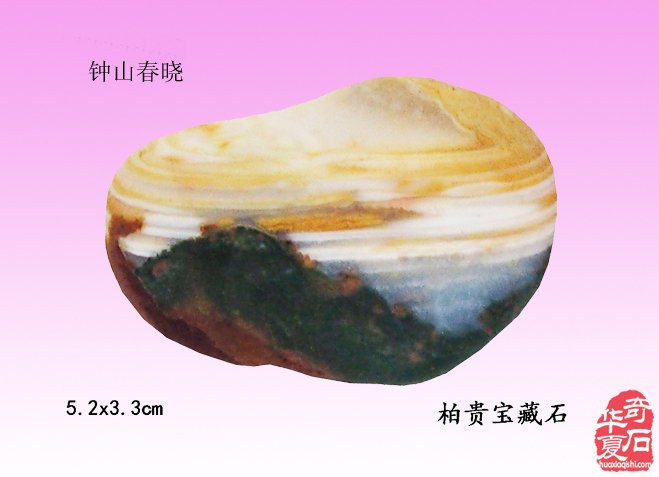绚丽灵石寓南京，璀璨花开动金陵