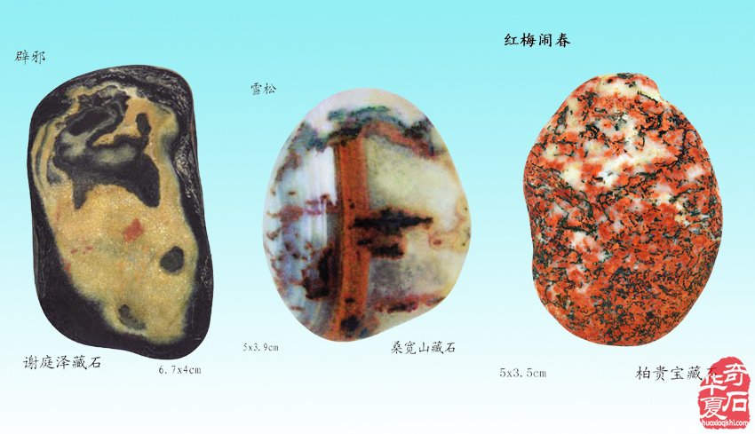 绚丽灵石寓南京，璀璨花开动金陵
