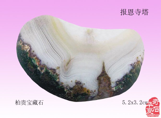绚丽灵石寓南京，璀璨花开动金陵