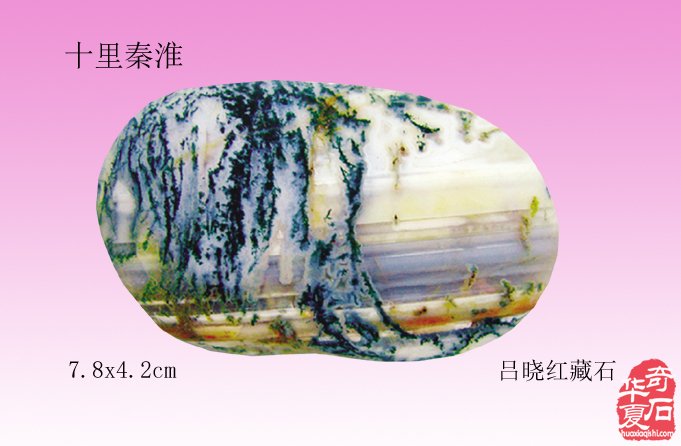 绚丽灵石寓南京，璀璨花开动金陵