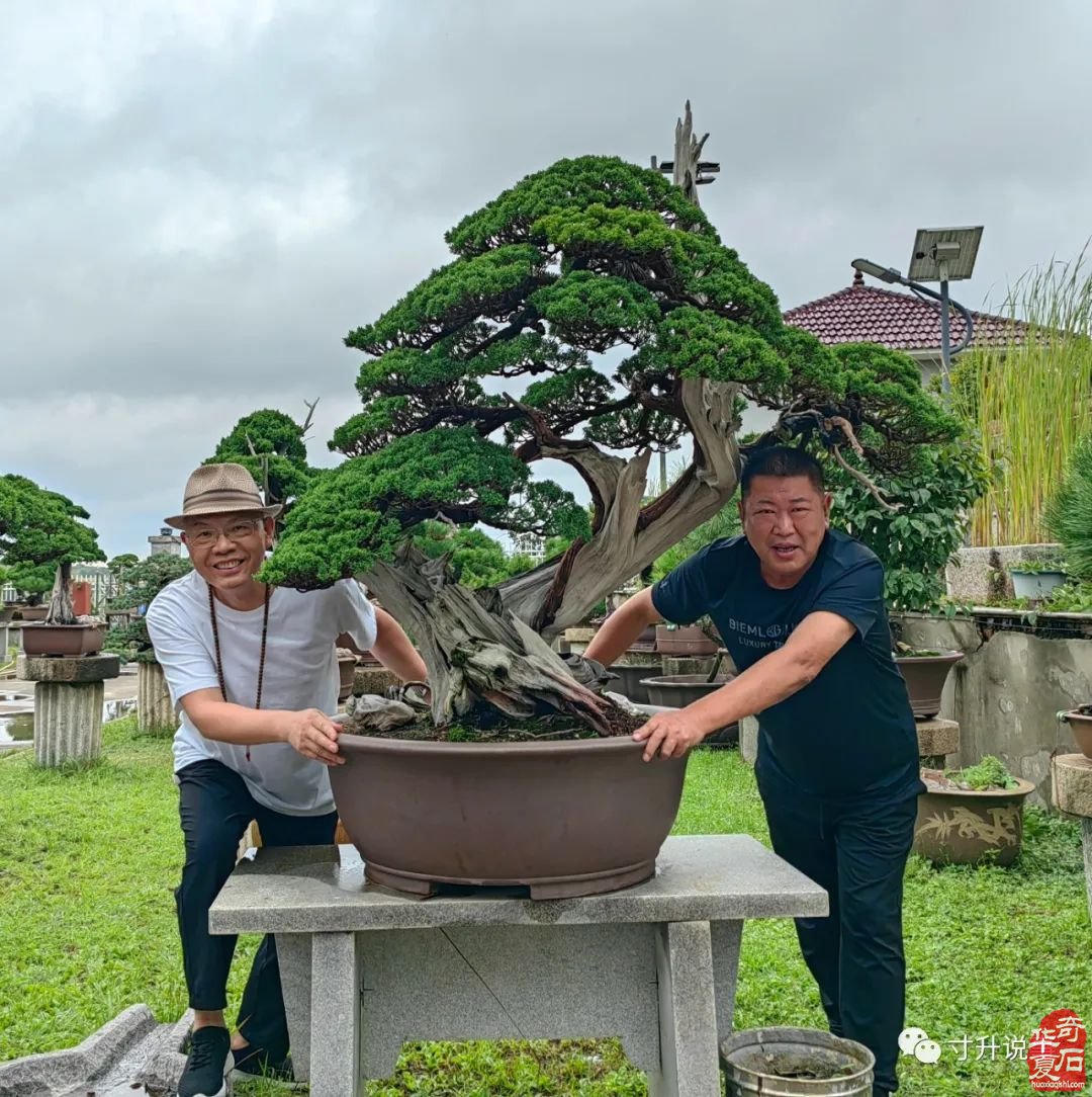 多面人生 石界辉哥