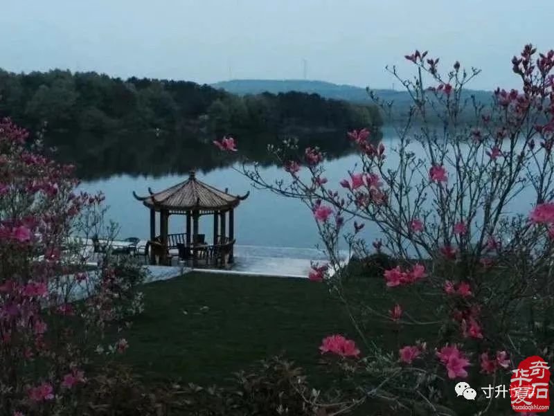 多面人生 石界辉哥