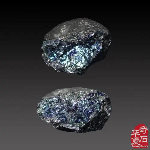 第九届“丝路杯”东大明宫奇石博览会石友们的狂欢节