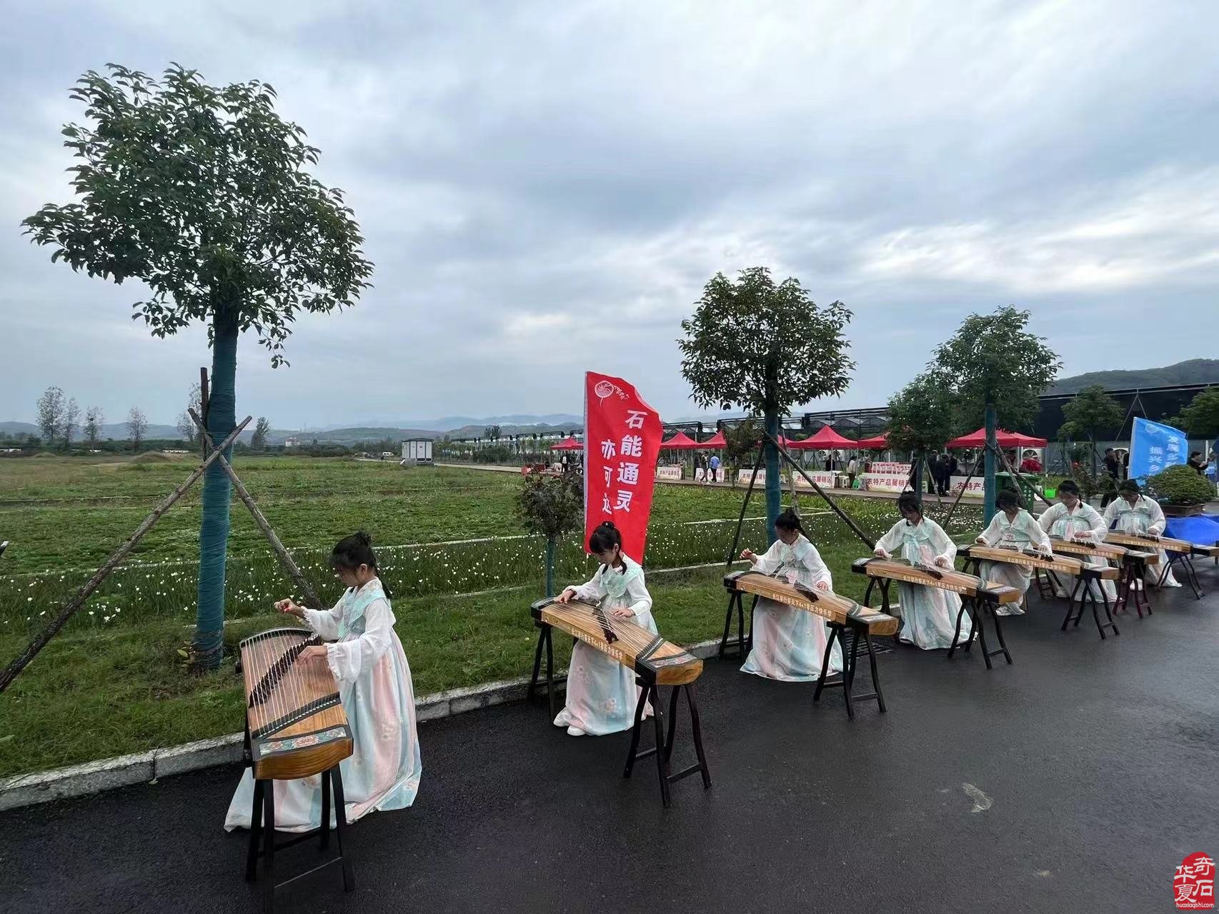 嵩县第八届盆景展暨旧县镇伏牛山奇石兰花艺术节盛大开幕