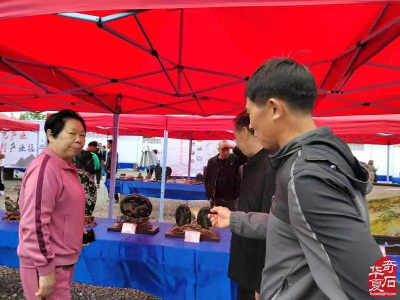 嵩县第八届盆景展暨旧县镇伏牛山奇石兰花艺术节盛大开幕