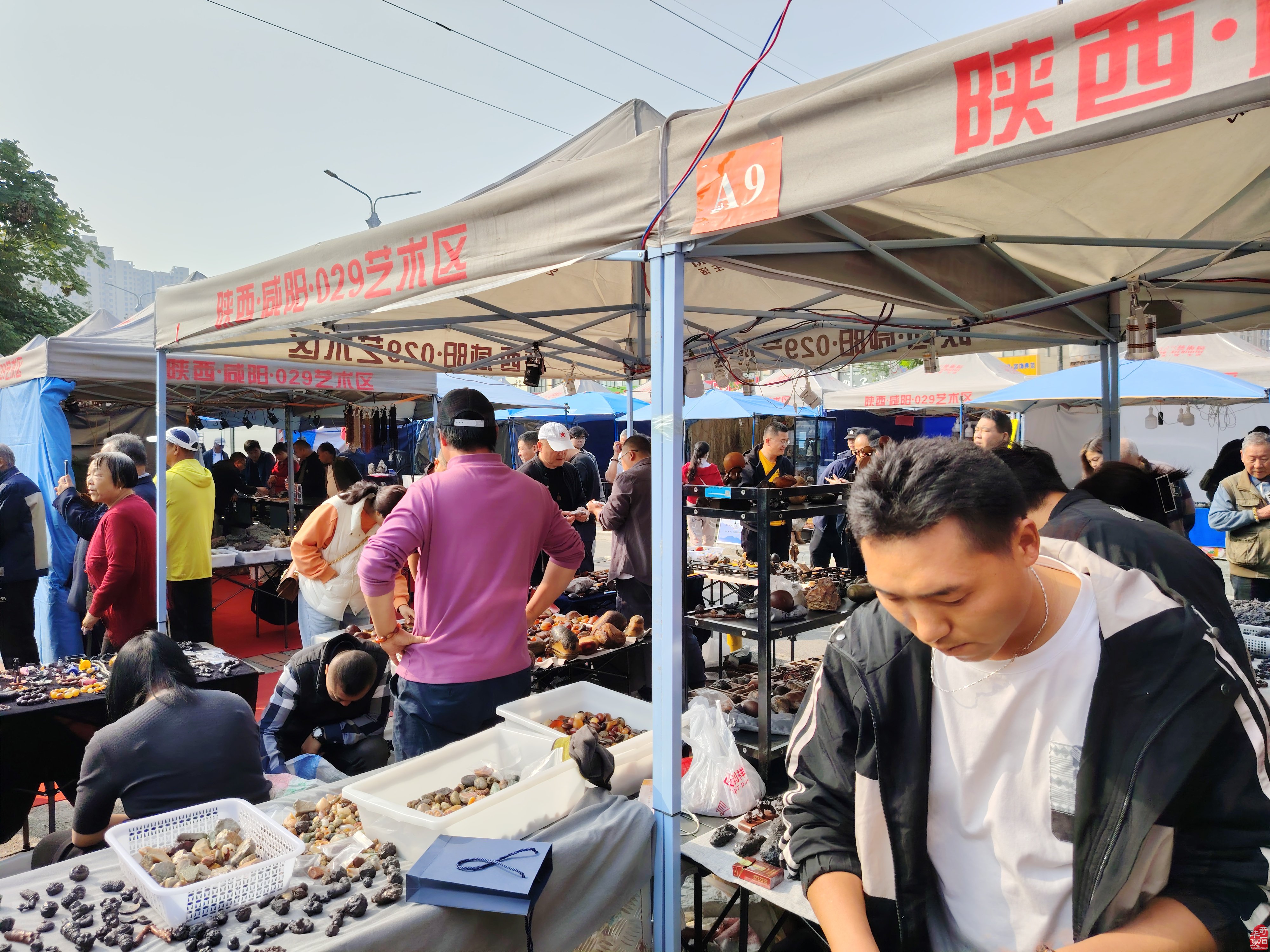 第六届中国（咸阳）赏石文化旅游节暨中国赏石艺术食品石专题展盛大开幕