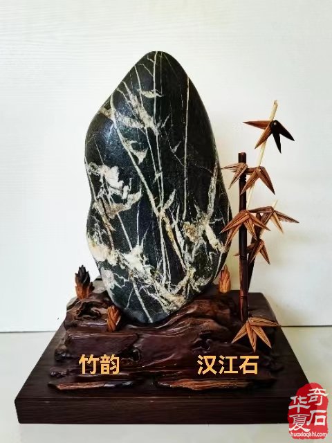 第九届“丝路杯”东大明宫奇石博览会石友们的狂欢节