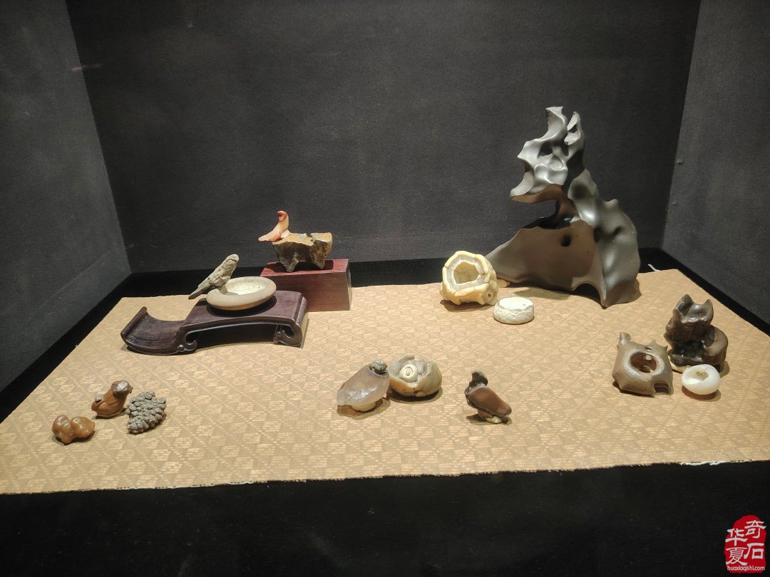 海上风范:徐文强赏石心路回顾展 图