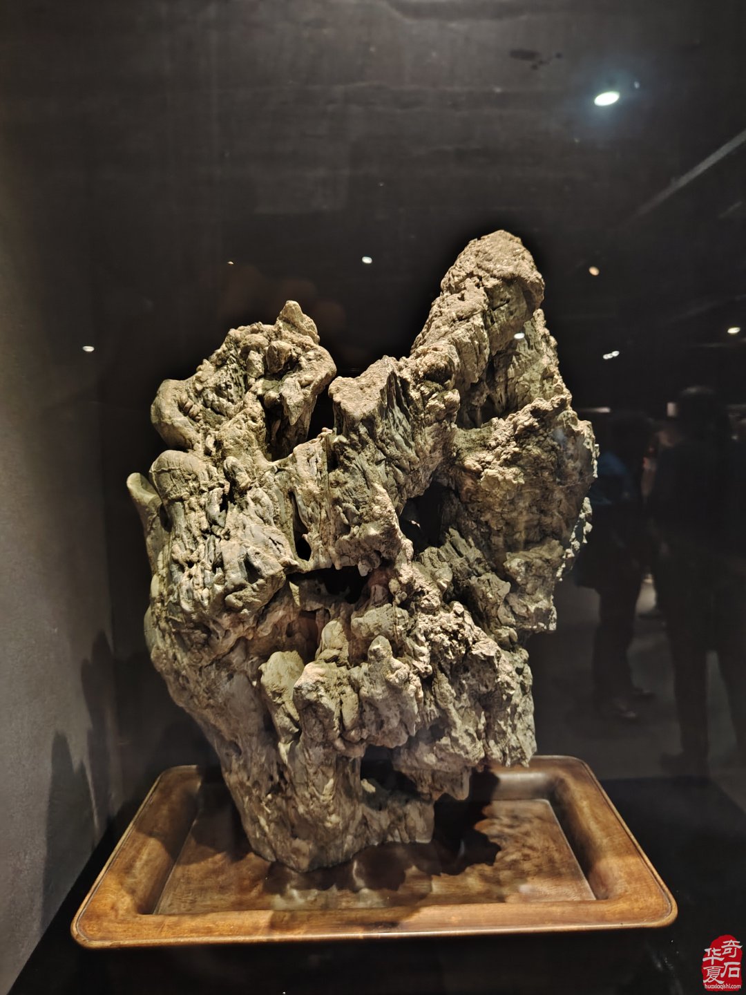 海上风范:徐文强赏石心路回顾展 图