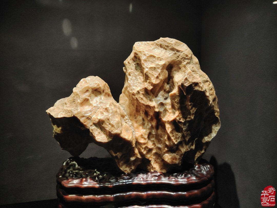 海上风范:徐文强赏石心路回顾展 图