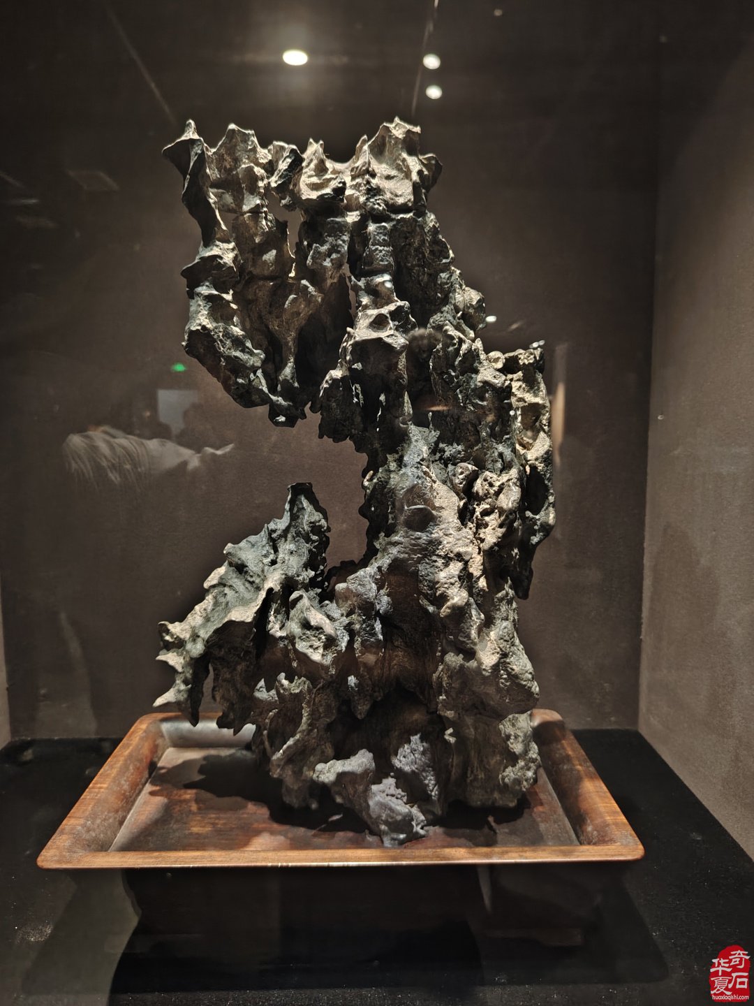 海上风范:徐文强赏石心路回顾展 图