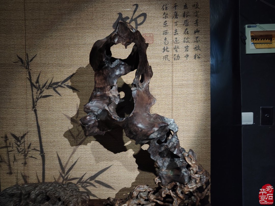 海上风范:徐文强赏石心路回顾展 图