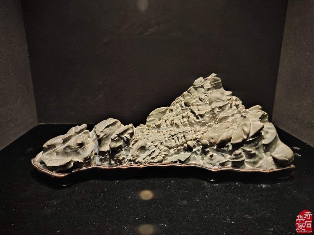 海上风范:徐文强赏石心路回顾展 图