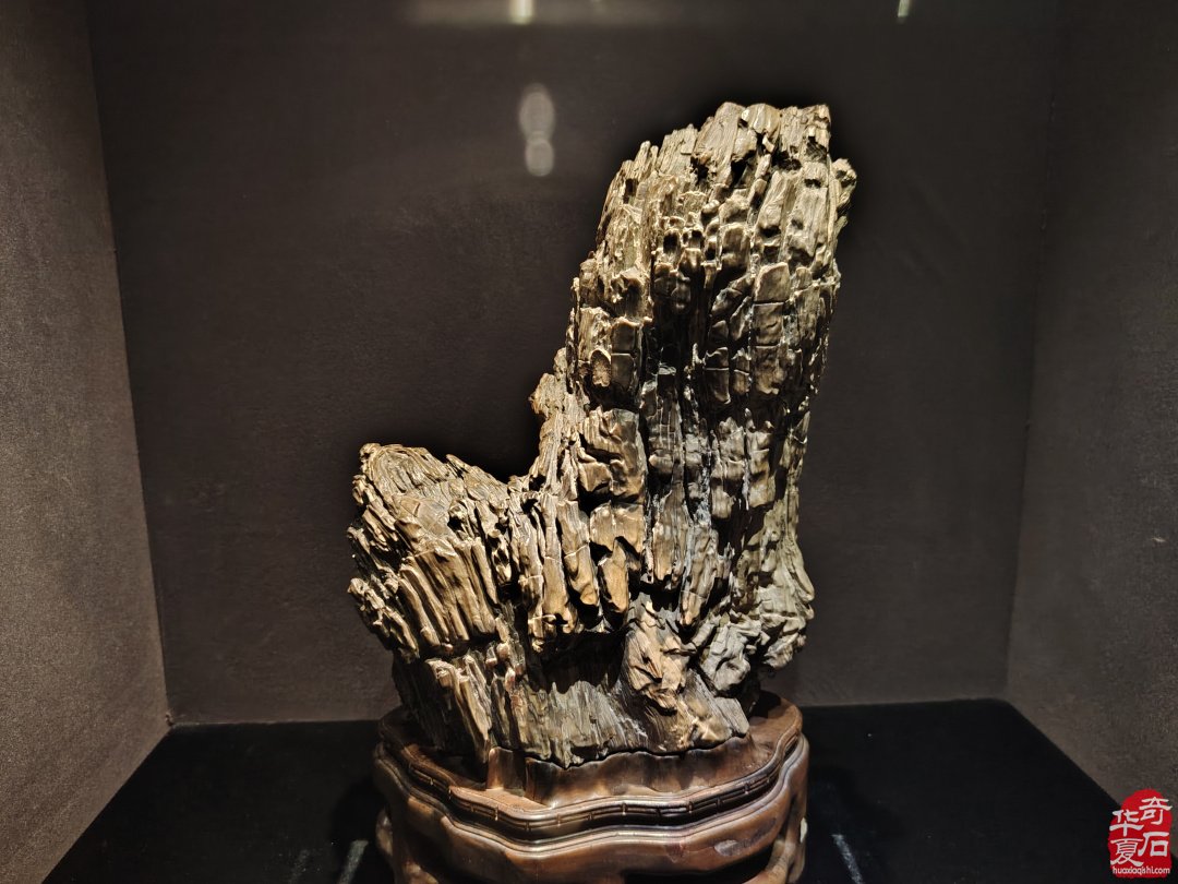 海上风范:徐文强赏石心路回顾展 图