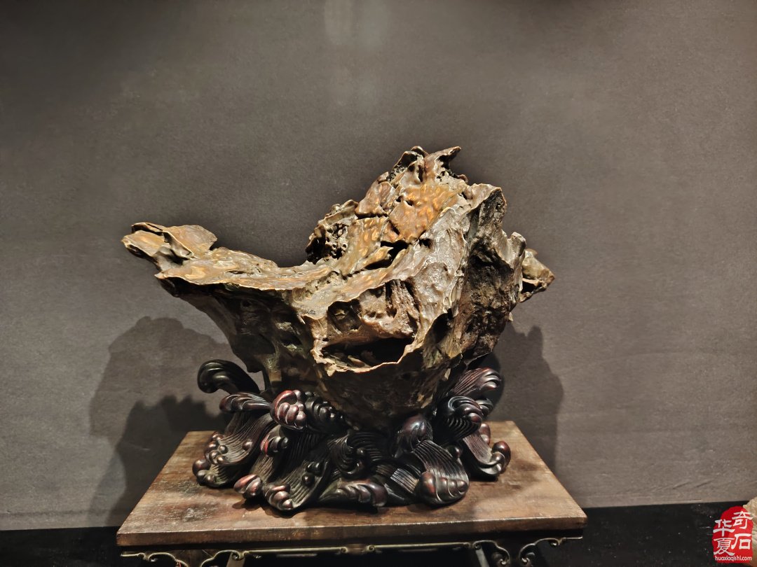 海上风范:徐文强赏石心路回顾展 图