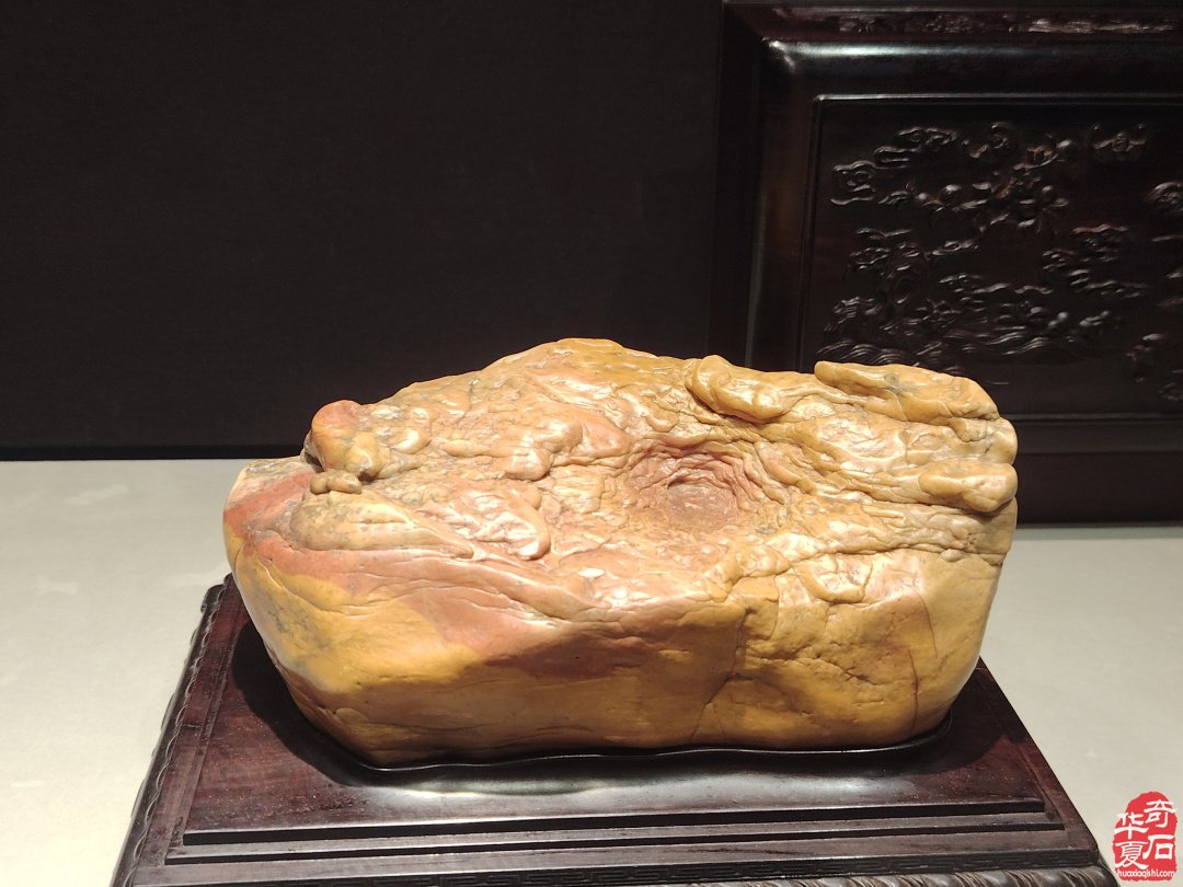 海上风范:徐文强赏石心路回顾展 图