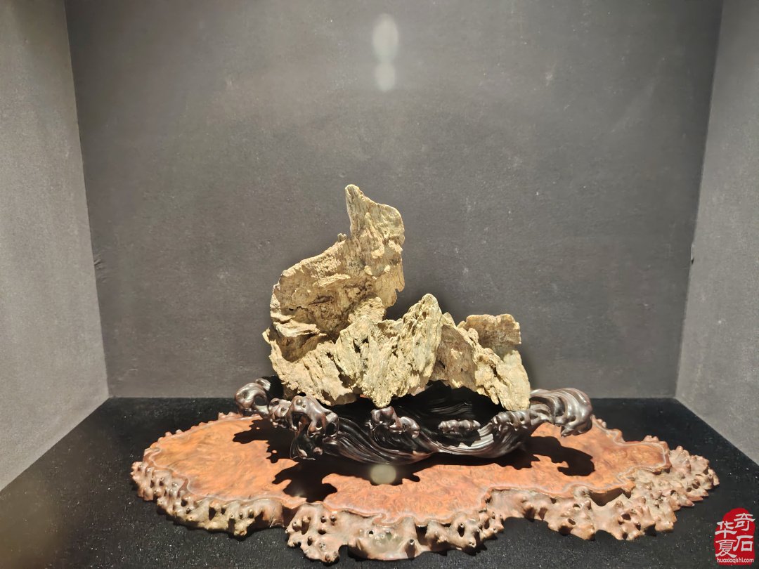 海上风范:徐文强赏石心路回顾展 图