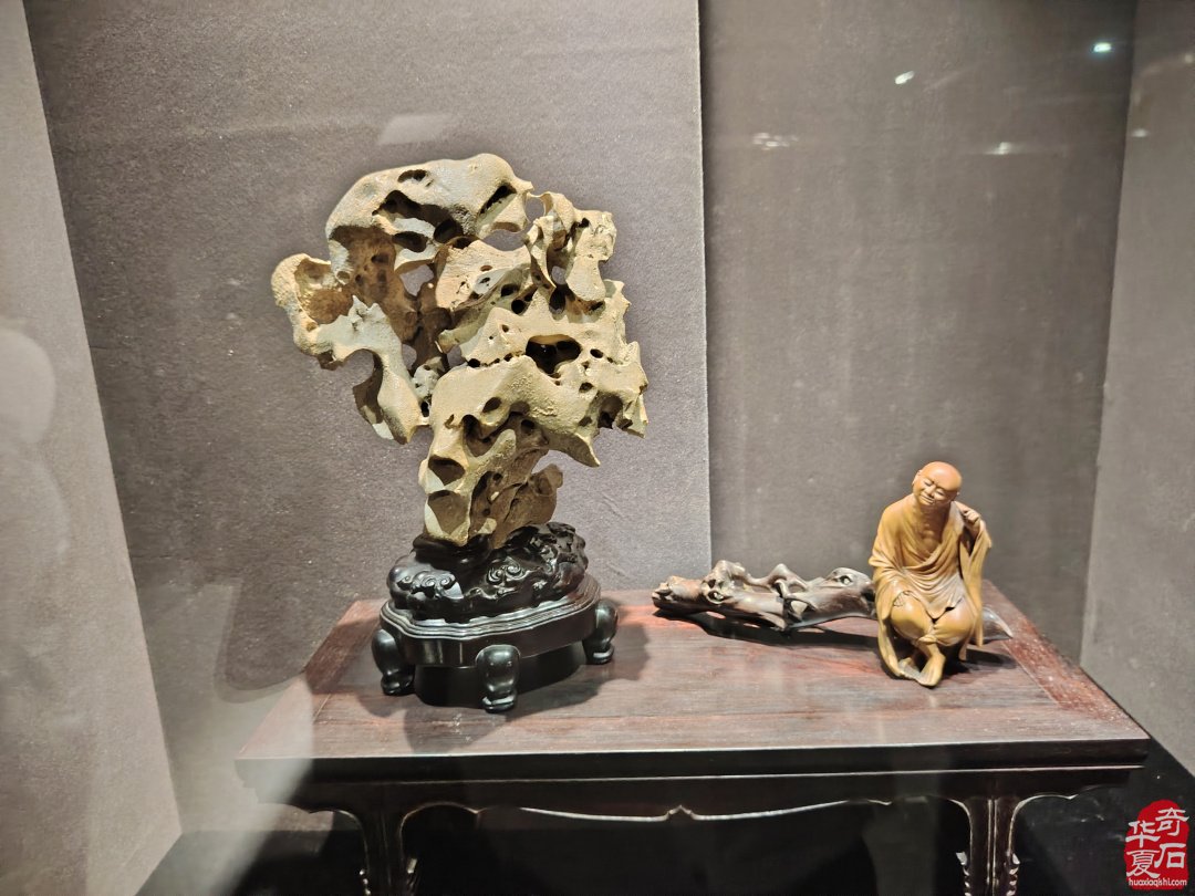 海上风范:徐文强赏石心路回顾展 图