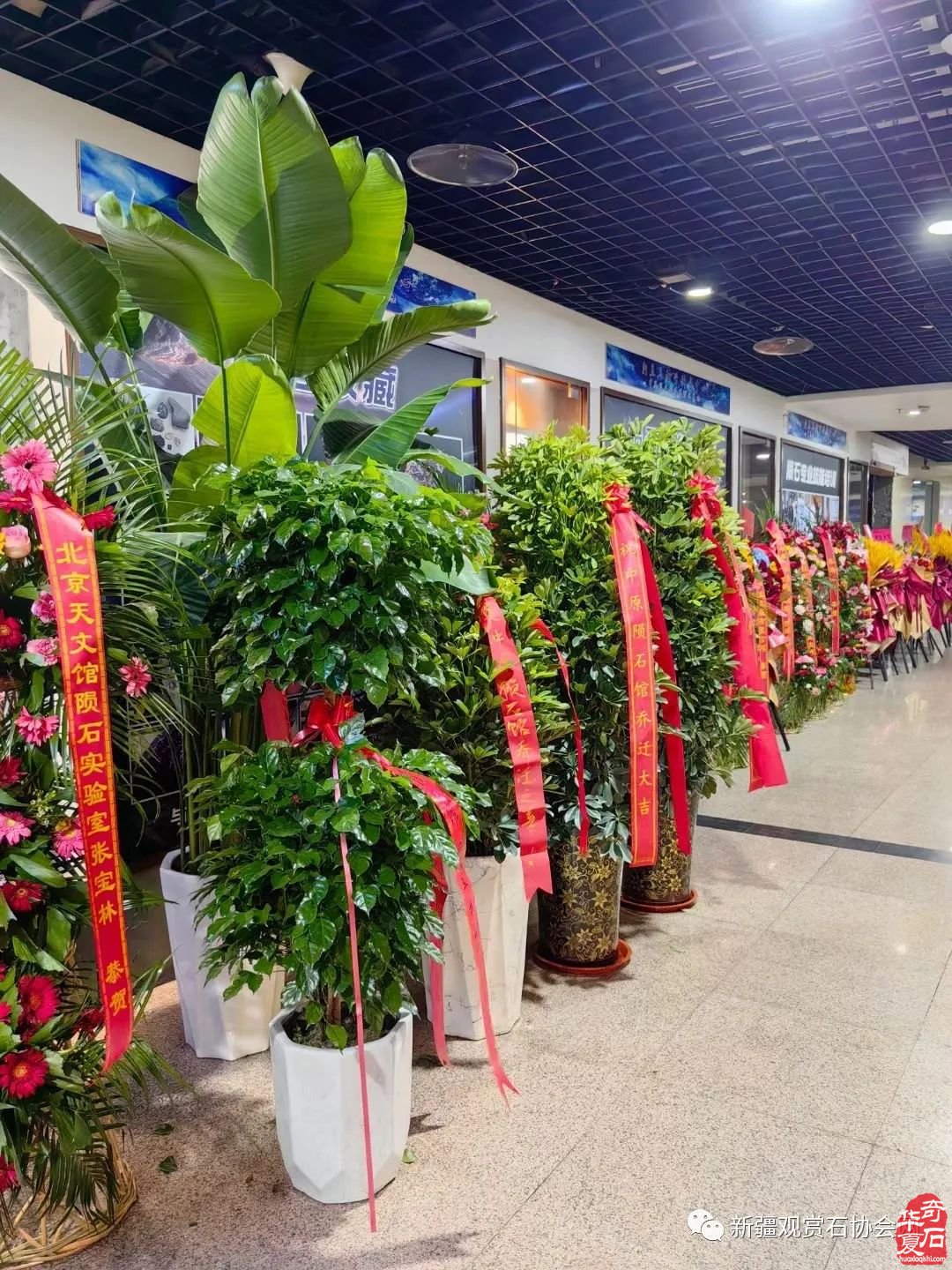 触摸45亿年前的星辰—一从中原陨石馆“陨石汝瓷”说起