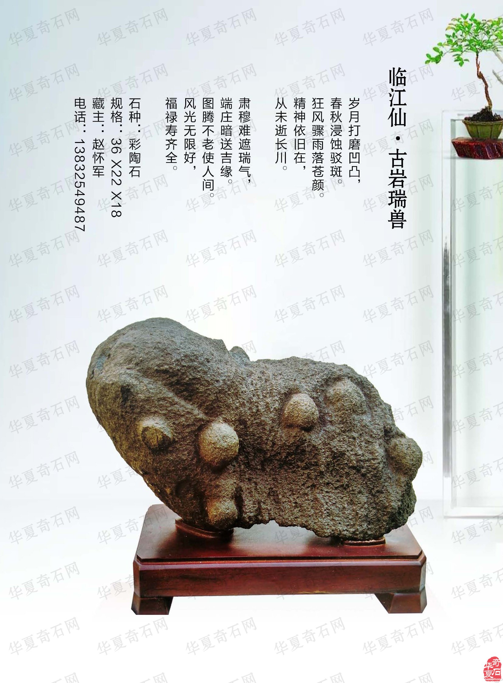 《于公赏石》杂志上学知识品美石修心养性
