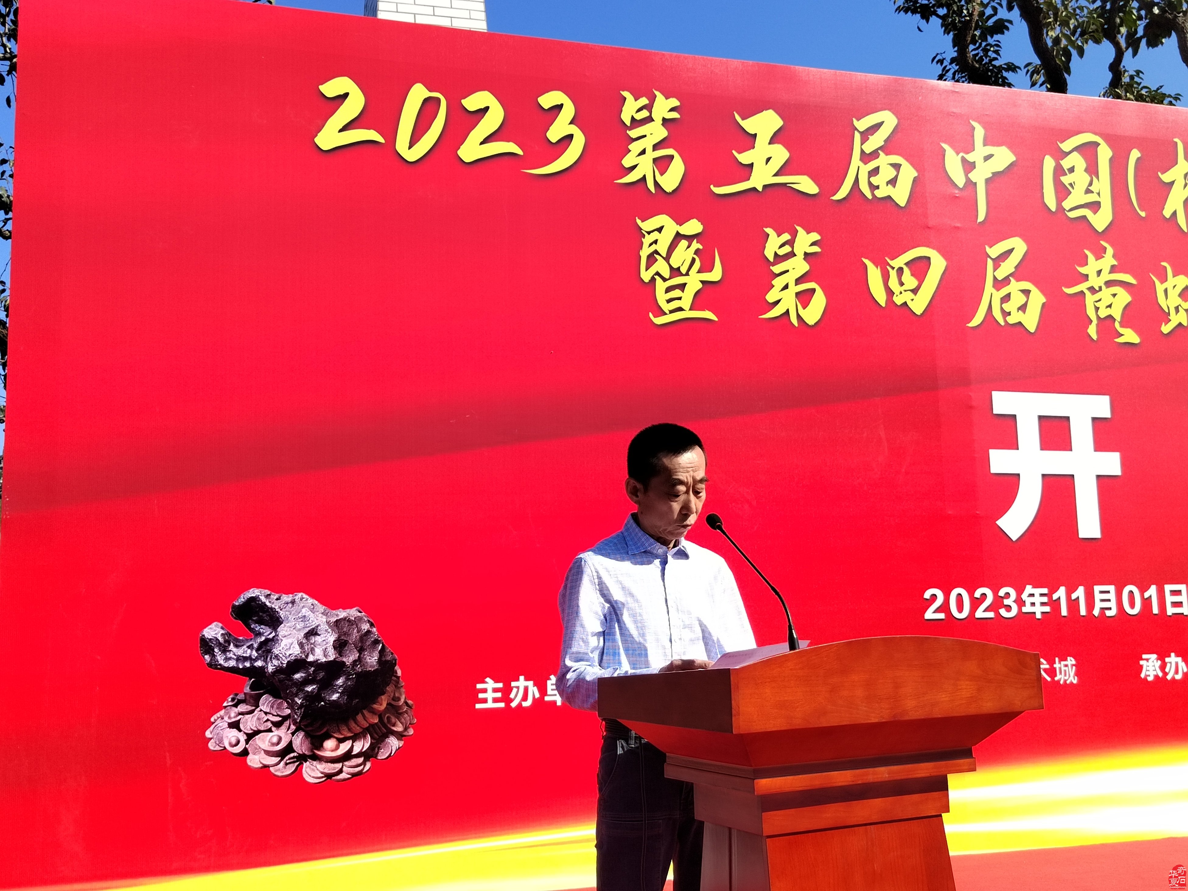第五届中国杭州赏石文化艺术节隆重开幕