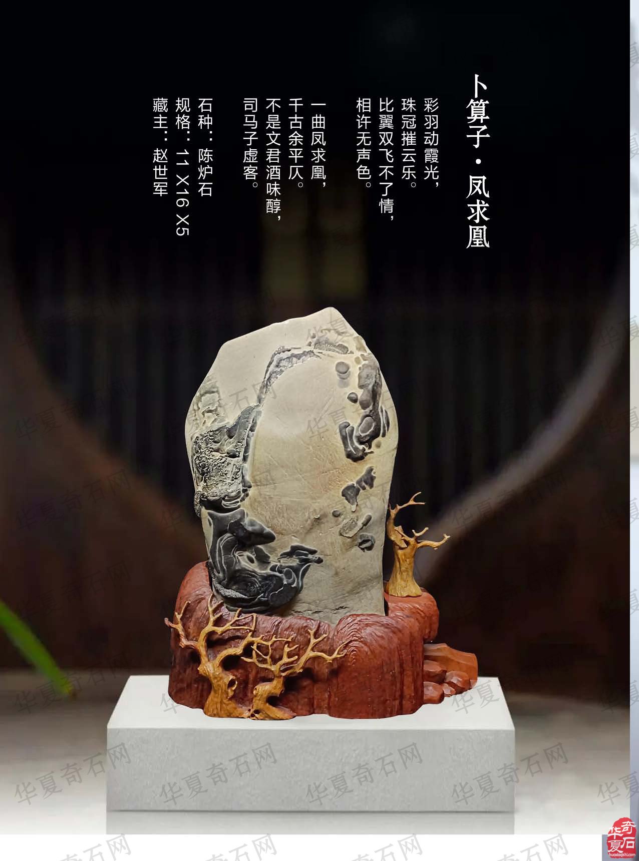 欣赏《于公赏石》杂志推介的大秦奇石艺术馆