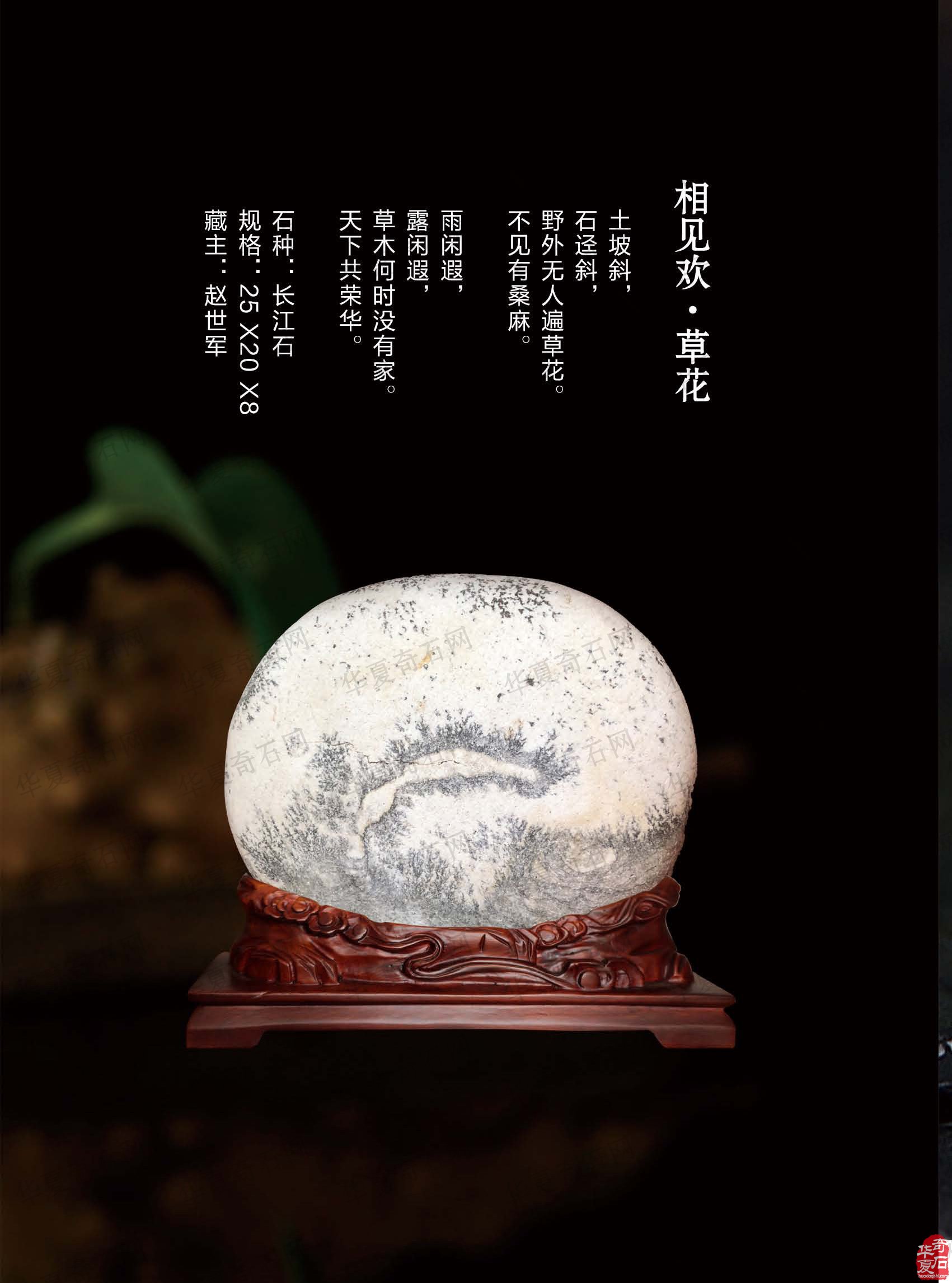 欣赏《于公赏石》杂志推介的大秦奇石艺术馆