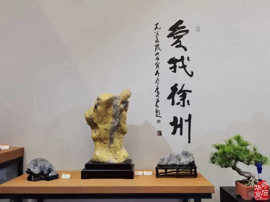 汉风起兮 —— 徐州首届盆景、赏石艺术展