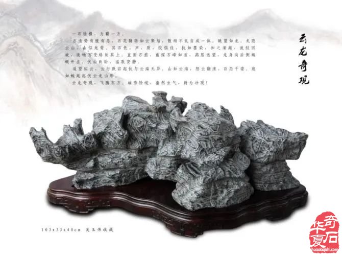 汉风起兮 —— 徐州首届盆景、赏石艺术展