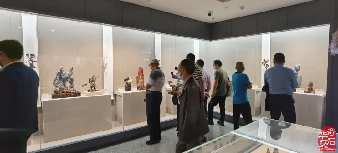 汉风起兮 —— 徐州首届盆景、赏石艺术展