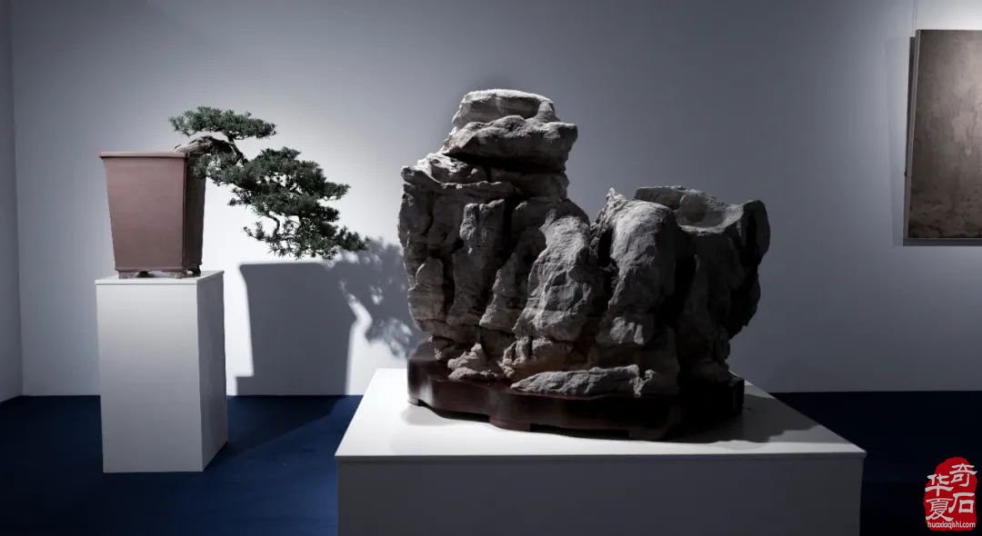 赵德奇：苏州“心象—赏石的视觉与观念”艺术展观感