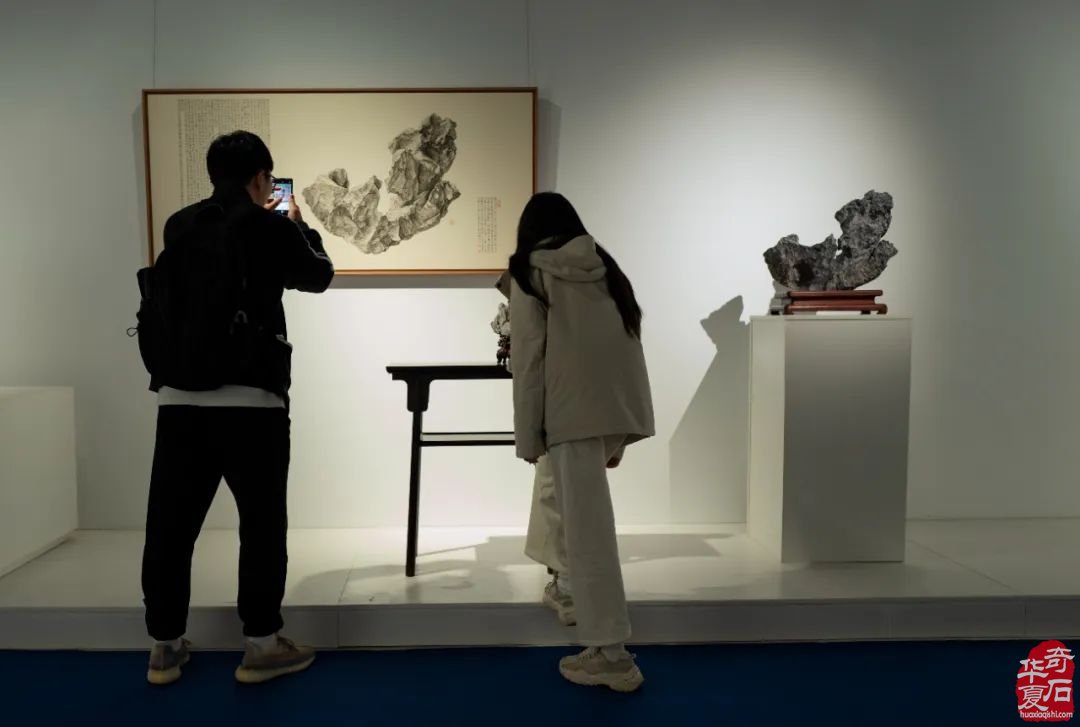 赵德奇：苏州“心象—赏石的视觉与观念”艺术展观感