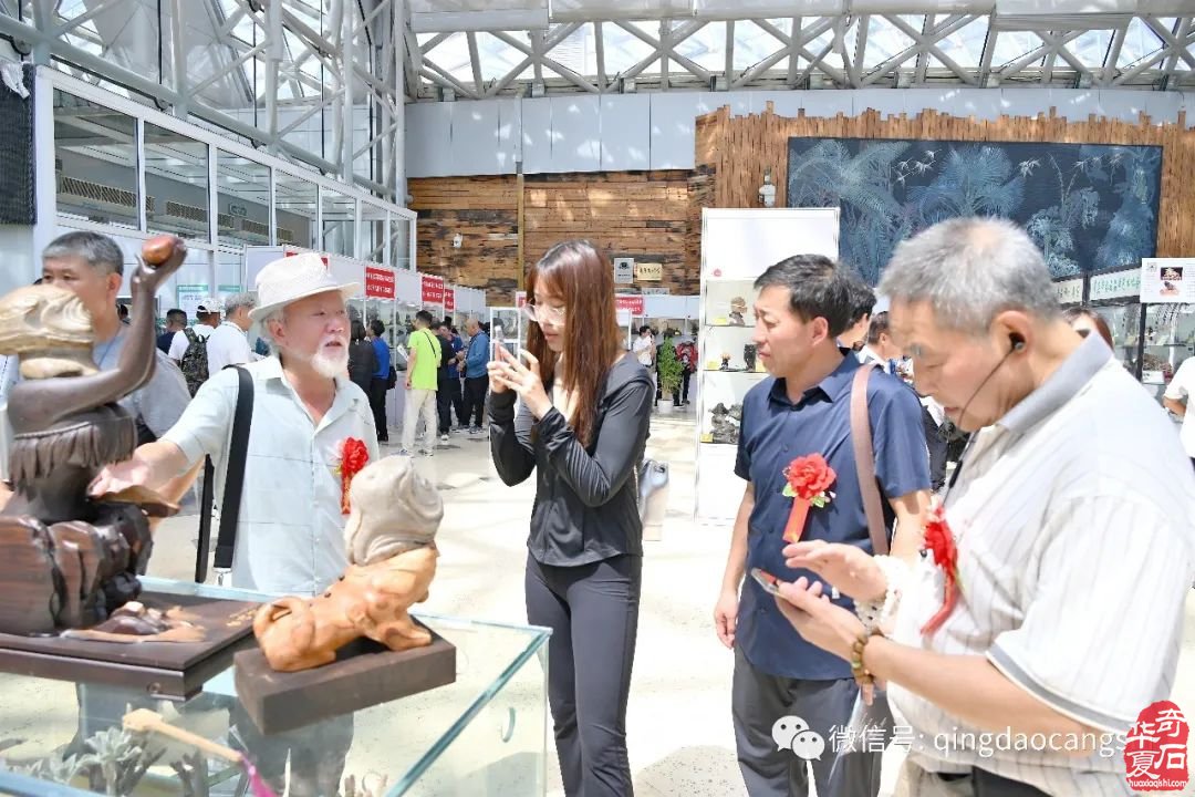 精彩回放：8.30“中韩第七届国际赏石·寿石文化交流展暨青岛第十七届赏石博览会”